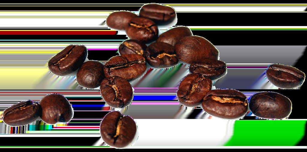 Grains de café en cours de torréfaction dans un torréfacteur artisanal