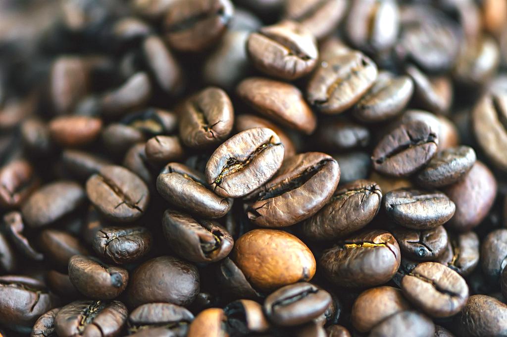 Dégustation professionnelle de café avec plusieurs tasses alignées