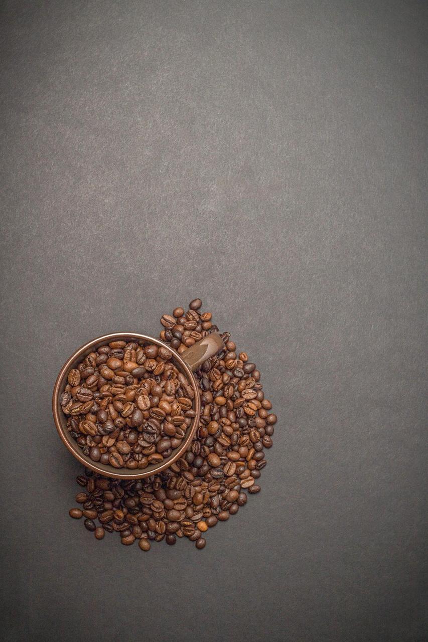 Panneaux solaires installés sur le toit du café pour l'énergie renouvelable