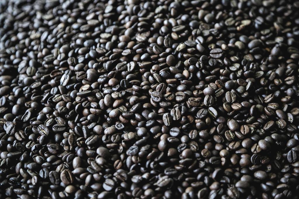 Système de conservation et filtration de l'eau dans un café écologique